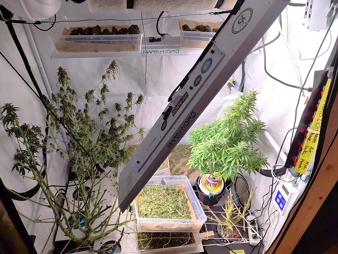 Growreport Bild 2