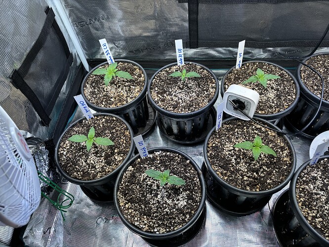 Growreport Bild 15