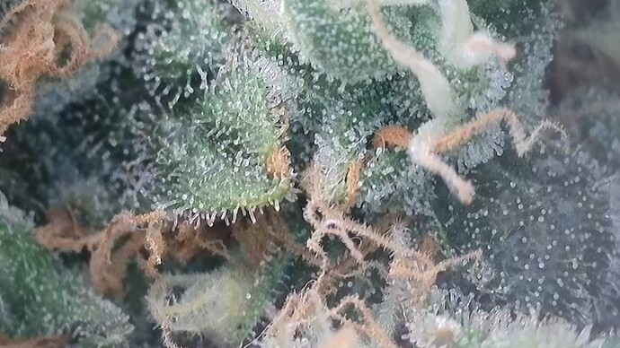 2024-10-03-205036626