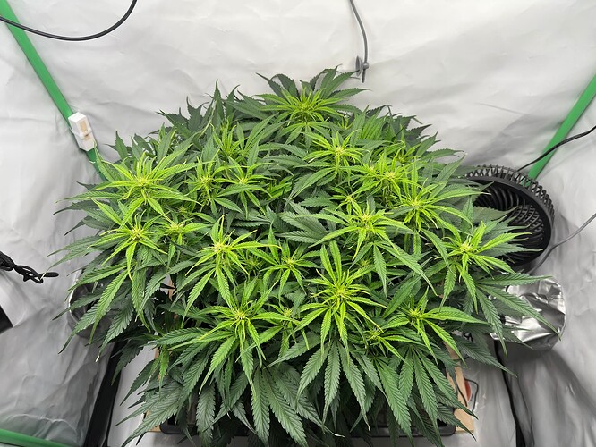 signal-2025-05-05-142438_002