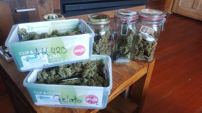 Growreport Bild 18