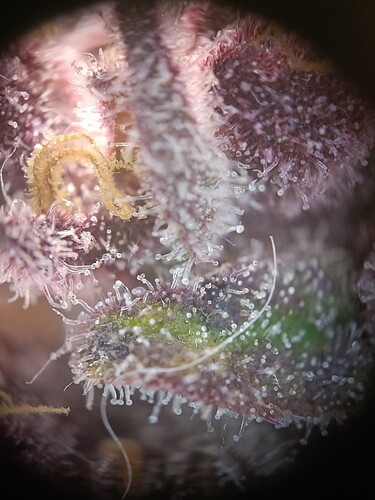 Growreport Bild 13