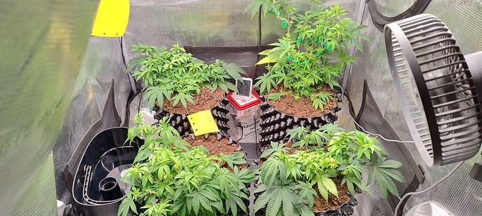 IMG_20251016_105015099_HDR