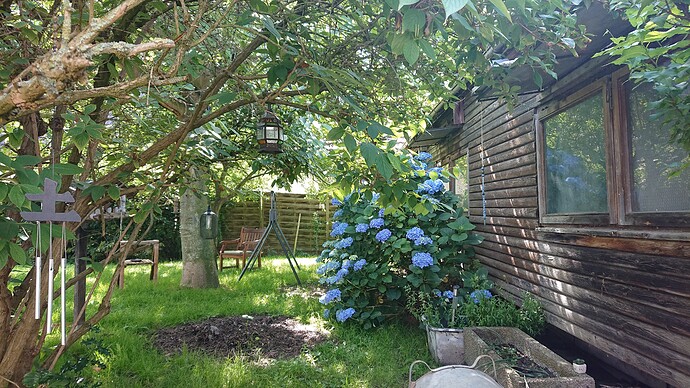 Growreport Bild 31