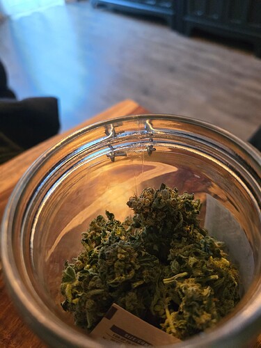 Growreport Bild 17