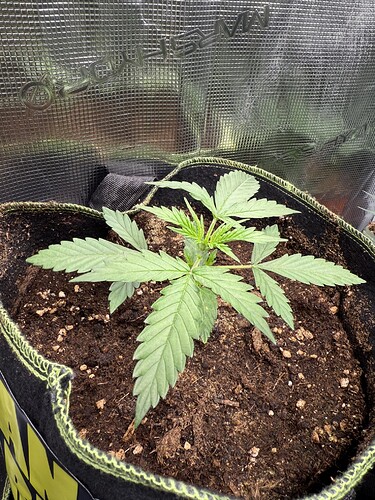 Growreport Bild 2