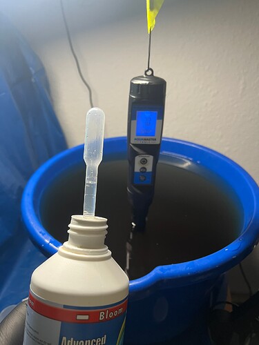 Growreport Bild 21