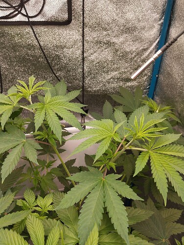 Growreport Bild 8
