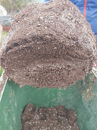 Growreport Bild 7