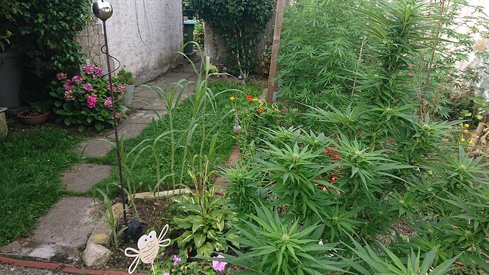 Growreport Bild 20