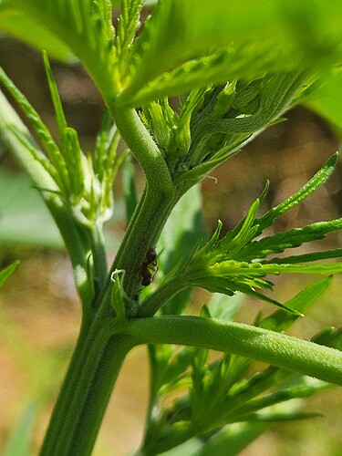 Growreport Bild 15