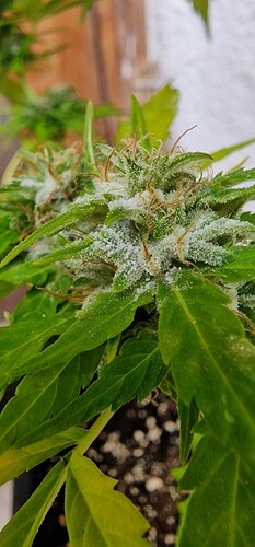 Growreport Bild 10
