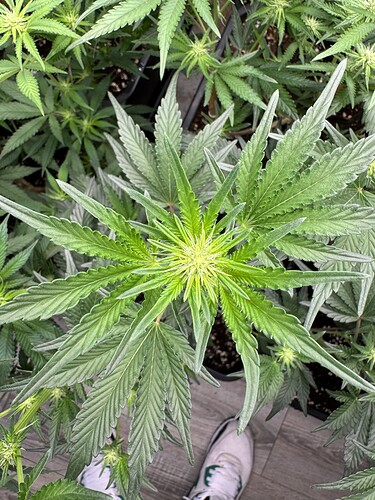 Growreport Bild 7
