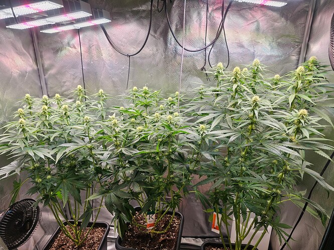 Growreport Bild 10