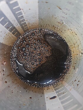 Growreport Bild 9