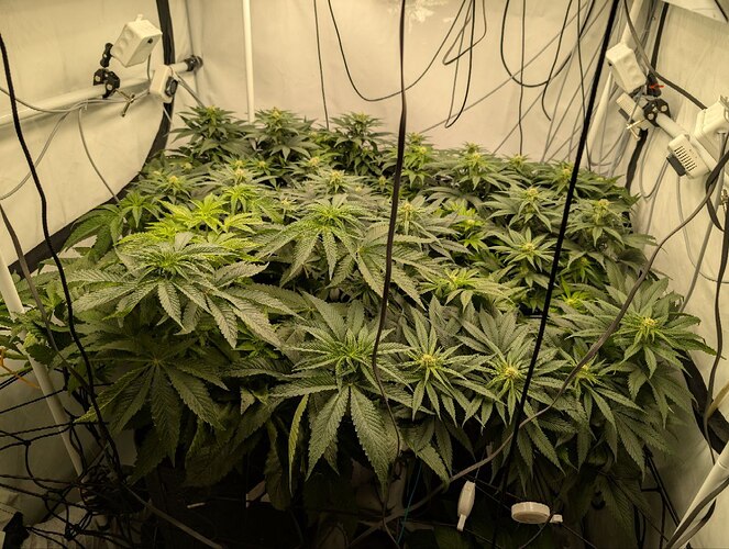 photo_2025-11-25_12-41-36