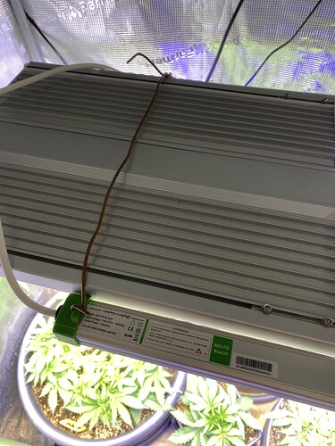 Growreport Bild 84