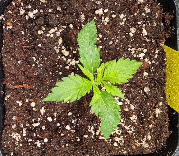 Growreport Bild 23