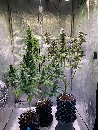 Growreport Bild 1