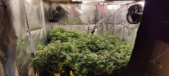 Growreport Bild 6