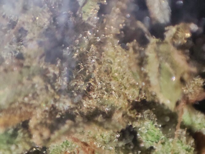 Growreport Bild 13