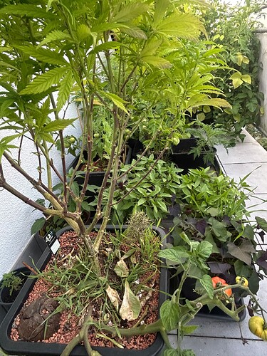 Growreport Bild 24