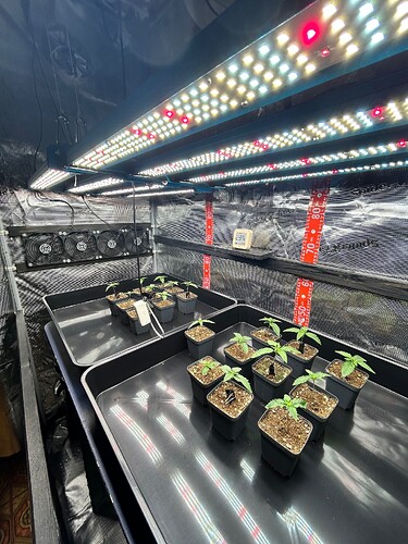 Growreport Bild 17