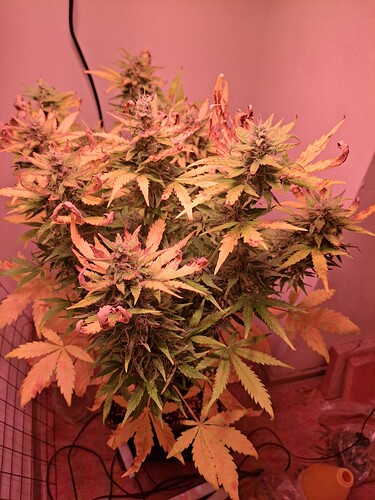 Growreport Bild 8