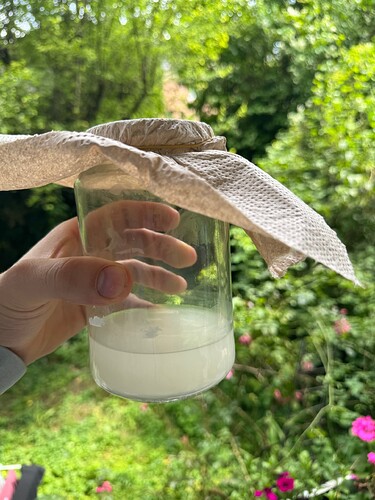 Growreport Bild 1