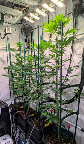 Growreport Bild 6
