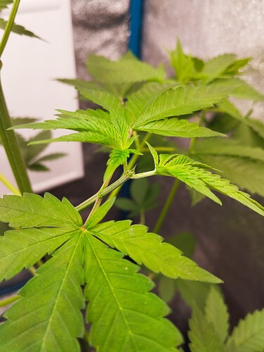 Growreport Bild 10