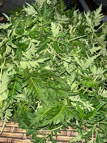 Growreport Bild 8