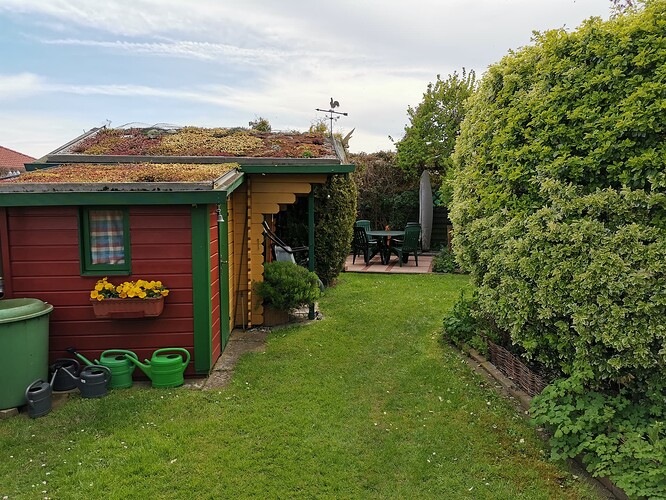 Garten (4)