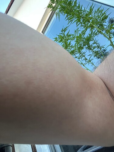 Growreport Bild 5