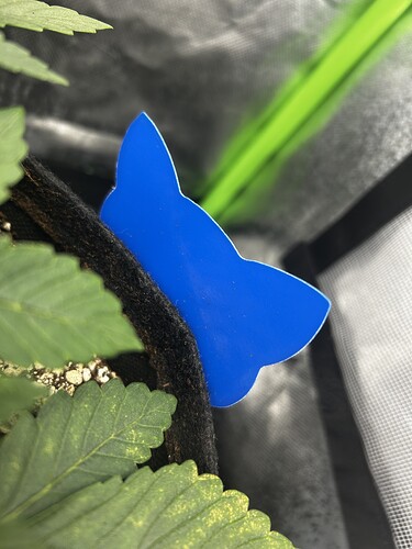 Growreport Bild 8
