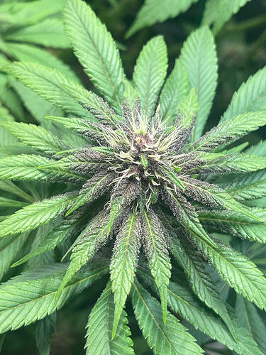 Growreport Bild 17