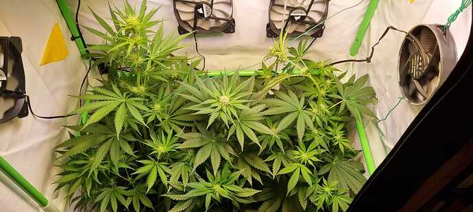 Growreport Bild 3