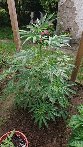 Growreport Bild 19