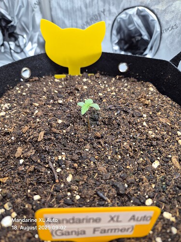 Growreport Bild 29