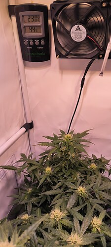 Growreport Bild 23