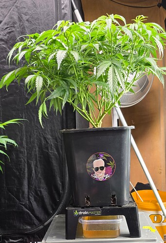 Growreport Bild 16
