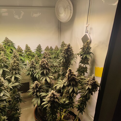 Growreport Bild 10