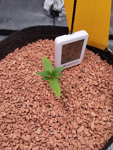 Growreport Bild 4