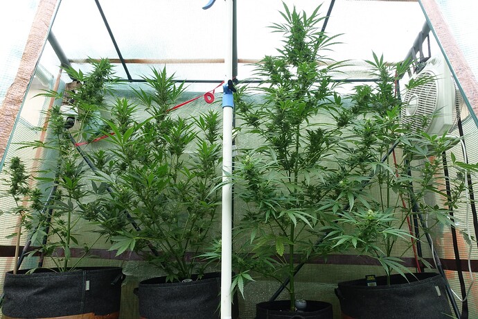 Growreport Bild 2