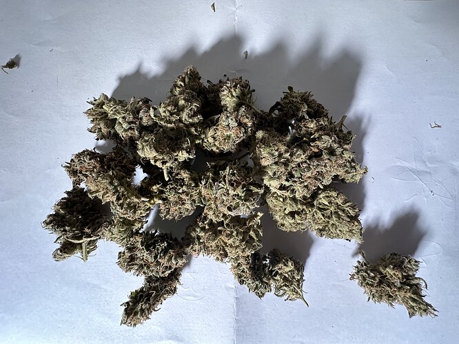 Growreport Bild 7