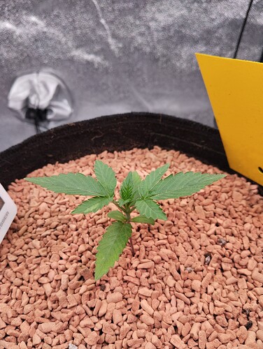 Growreport Bild 14