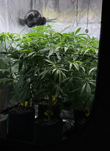 Growreport Bild 26