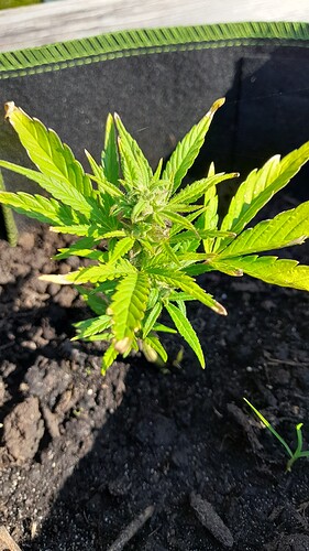 Growreport Bild 17
