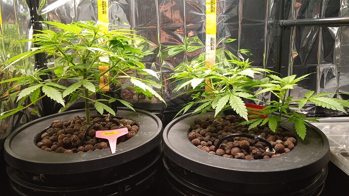 Growreport Bild 4