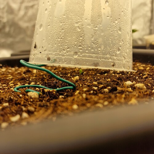 Growreport Bild 11